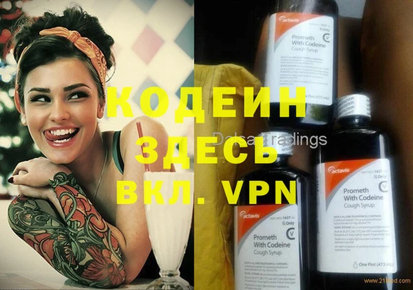 шишки Белоозёрский