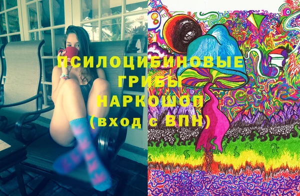 шишки Белоозёрский