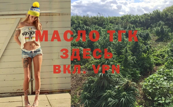 шишки Белоозёрский