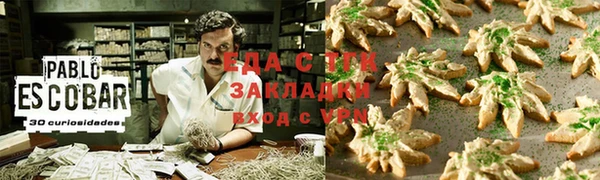 ECSTASY Белокуриха