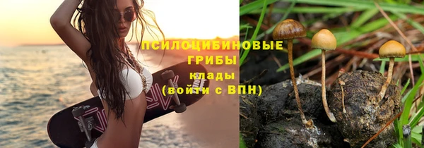 ECSTASY Белокуриха