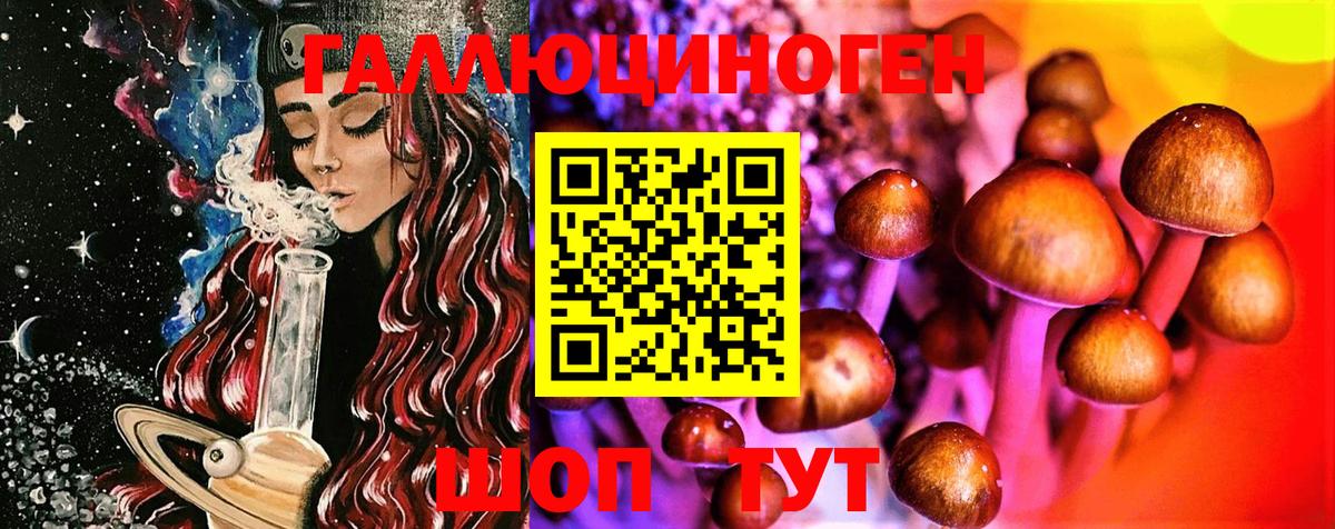 Псилоцибиновые грибы Magic Shrooms Гай