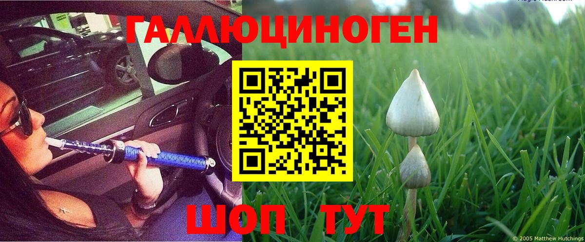 Гай  Псилоцибиновые грибы MAGIC MUSHROOMS  Вход с VPN 