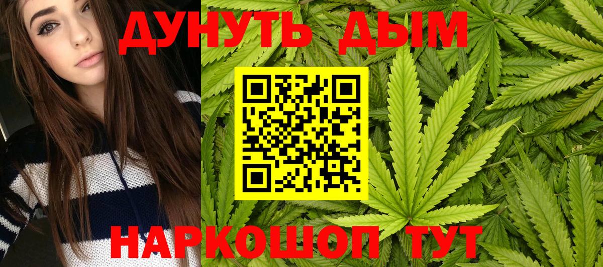 Бошки Шишки марихуана Гай